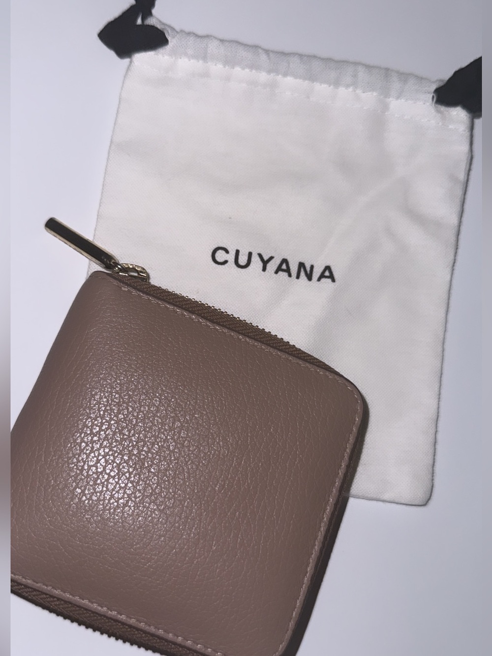 Cuyana Pebbled Leather Zip Wallet in Taupe